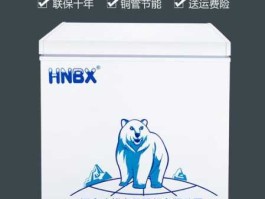 冰熊股份（冰熊冰柜质量怎么样？）