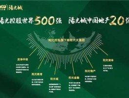 阳光城（阳光城在世界500强排名？）