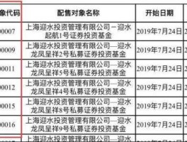 爱使股份股票 认购可配售股份什么意思？