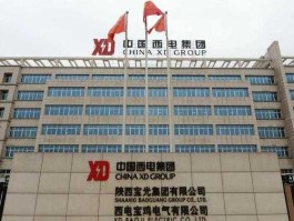 中国西电，中国西电集团公司的发展是怎么样的？
