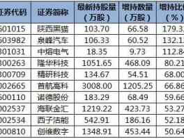 陕西黑猫股票，泛新能源有哪些股票？