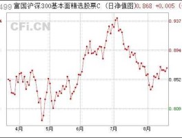 富国300 富国沪深300增强怎么样？