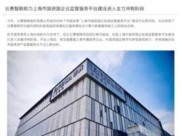 云赛智联（云赛智联深度点评？）