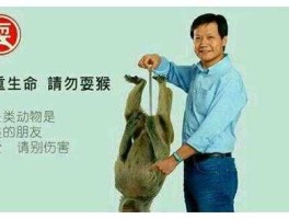 雷军（雷军口头禅？）