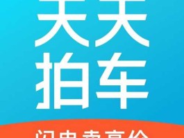 天天拍车，天天拍车怎么竞拍？