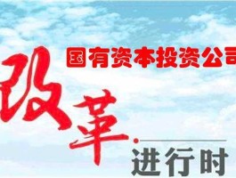 非公有资本？国资混改什么意思？
