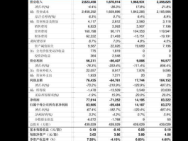 鄂尔多斯A股？鄂尔多斯b股和a股的区别？