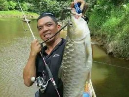 鱼鱼海外国际？忘不了鱼国内能养殖吗？