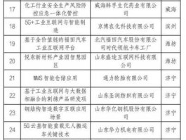 wwwppp111com？2021年山东重点项目名单？