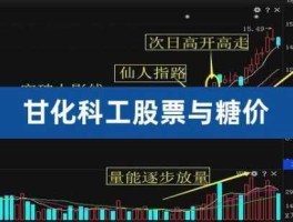 000576广东甘化 制糖类股票有哪些？