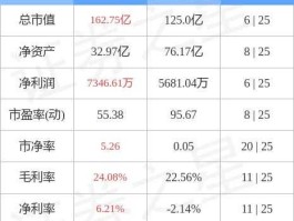 002851（麦格米特行业地位？）