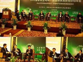广东宜华木业？金婷婷是宜华木业董事长吗？