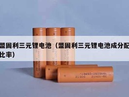 盟固利，盟固利三元锂电池怎么样？