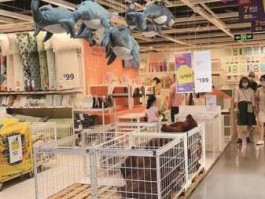宜家商场的事件原，宜家家居品牌名称有什么故事吗？