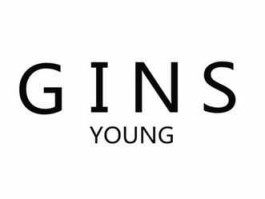 young 国产（youngkinetic是什么牌子？）