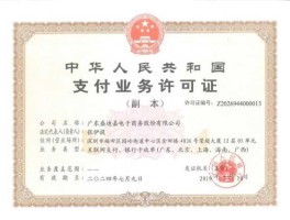 第三方支付牌照，支付牌照什么意思？