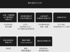 德尔股份 德尔股份是固态电池龙头吗？
