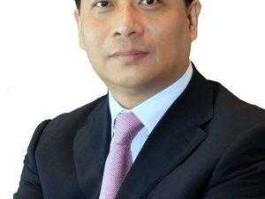 中新？中新高炬是干嘛的？