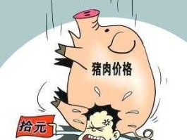 猪肉价格什么时候能降下来 再过20天猪价会降吗？
