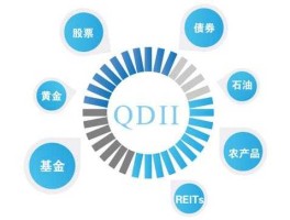 qdii（QDII具体指的是什么？）