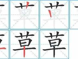 我草？“小草”的“草”字读音是几声？