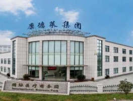 康德莱？上海康德莱医疗器械公司前景好吗？