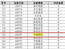 900939 沪市纯b股票有哪些？