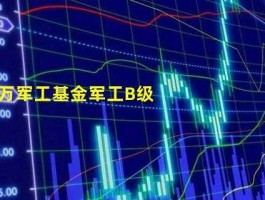 163115基金？军工基金是什么？