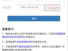 沈阳交通违章查询网？沈阳违章信息多久能查到？