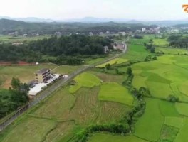 衡东论坛（衡东什么时候修高铁站？）