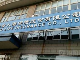生命人寿保险股份有限公司？什么叫生命人寿？