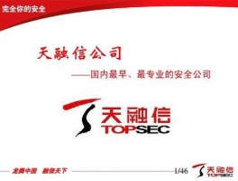 天融信（为什么选择加入天融信？）