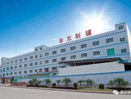 丰元股份（丰元股份主营业务？）