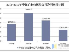 华钰矿业 华钰矿业2019年产银多少吨？