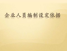 编制 企业编制什么意思？