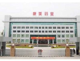 600518康美药业 普宁上市公司？
