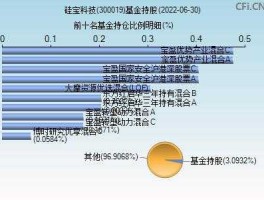 300019股票？硅宝科技是国企吗？