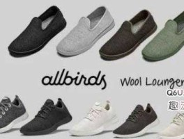 allbirds allbirds深度解析？