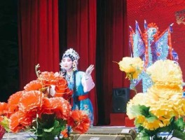甘肃卫视 甘肃卫视星期几唱秦腔？