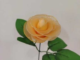 丝袜花制作？丝网花有哪些花？
