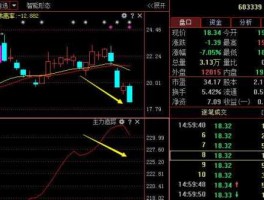 603339？603开头的股票是怎么回事？