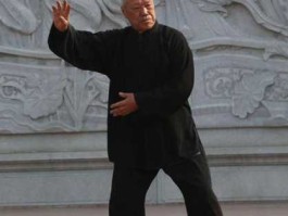 太极牛网，赵堡太极拳的名家大师？