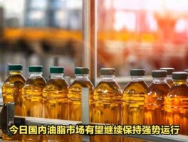 豆油期货 期货中豆油1505，1509是什么意思？