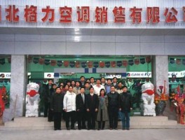 格力电器有限公司 格力电器成立于哪年？