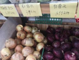 大葱价格，洋葱价格怎样？