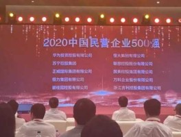 民企500强华为第一，中国最大的私人企业？