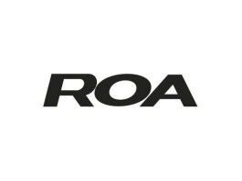 roa roaamn字母组成的英语单词？