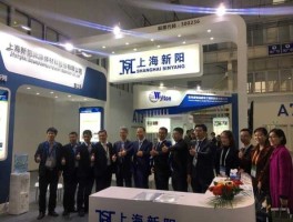 上海新阳？上海新阳有什么独特的优势？