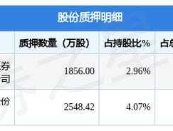 002601股票？河南龙柏集团是私企还是国企？