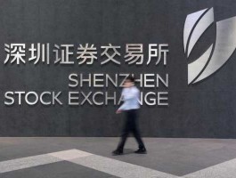 沪深（沪深交易所是什么意思？）